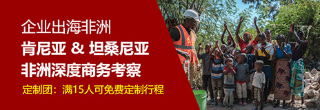 非洲商务考察